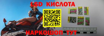 крисы Дубна