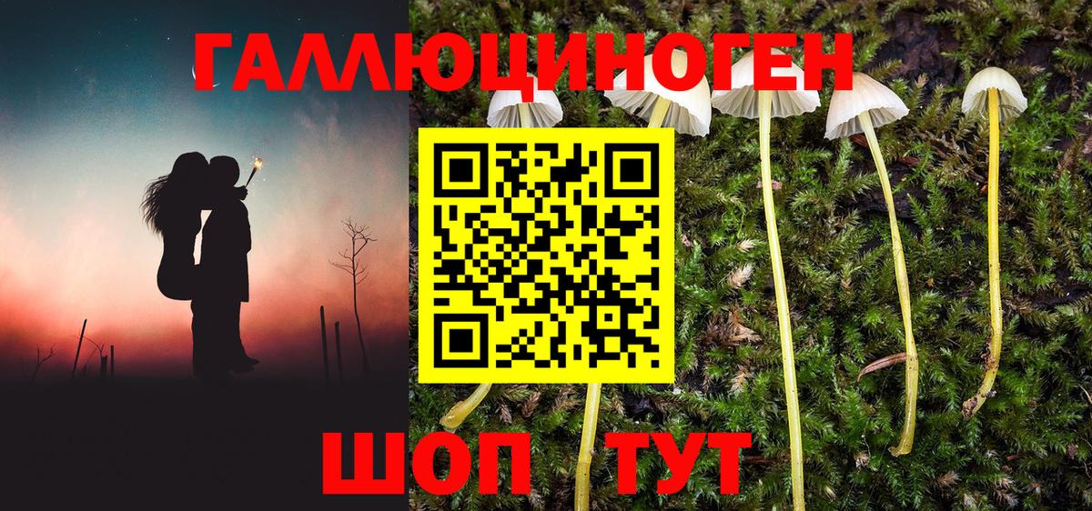 Галлюциногенные грибы мицелий  Вход с VPN  Москва 