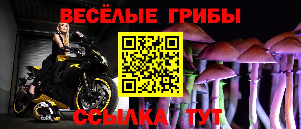 Псилоцибиновые грибы мицелий Москва
